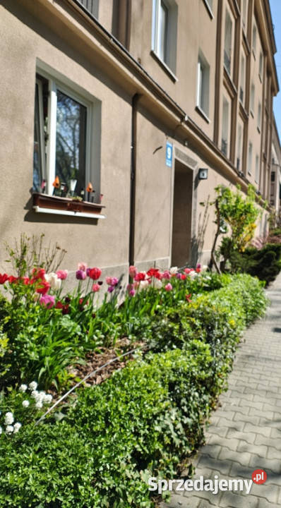 BEZPOŚREDNIO kawalerka CENTRUM Kielecka Ronda Kraków