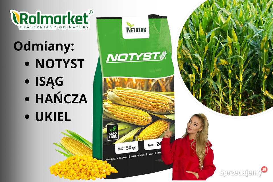 Nasiona kukurydzy na kiszonkę kiszenie NOTYST Cieśle