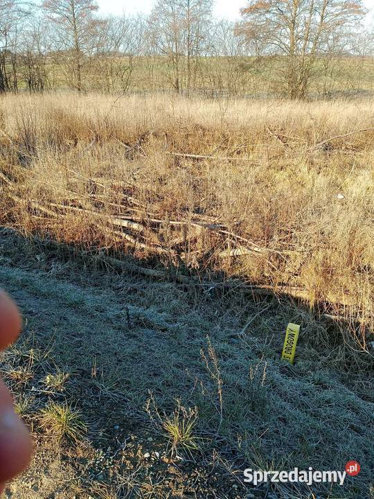 Działka budowlana 10 arów asfalt Grunty i działki Jedwabne