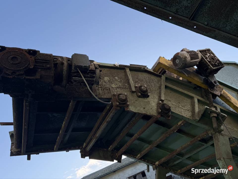 podajnik listwowy zasypnik podajnik łańcuchowy wielkopolskie Daleszynek