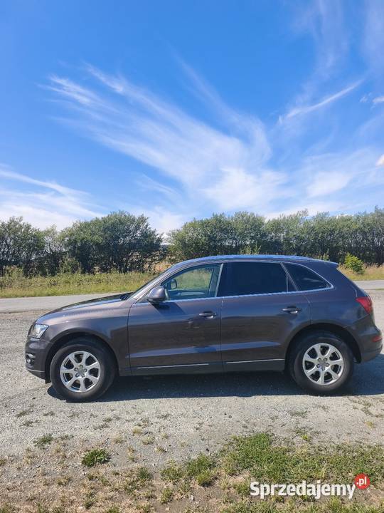 Audi Q5 Quattro 30tdi 245 Automat skora navi led dolnośląskie Braszowice