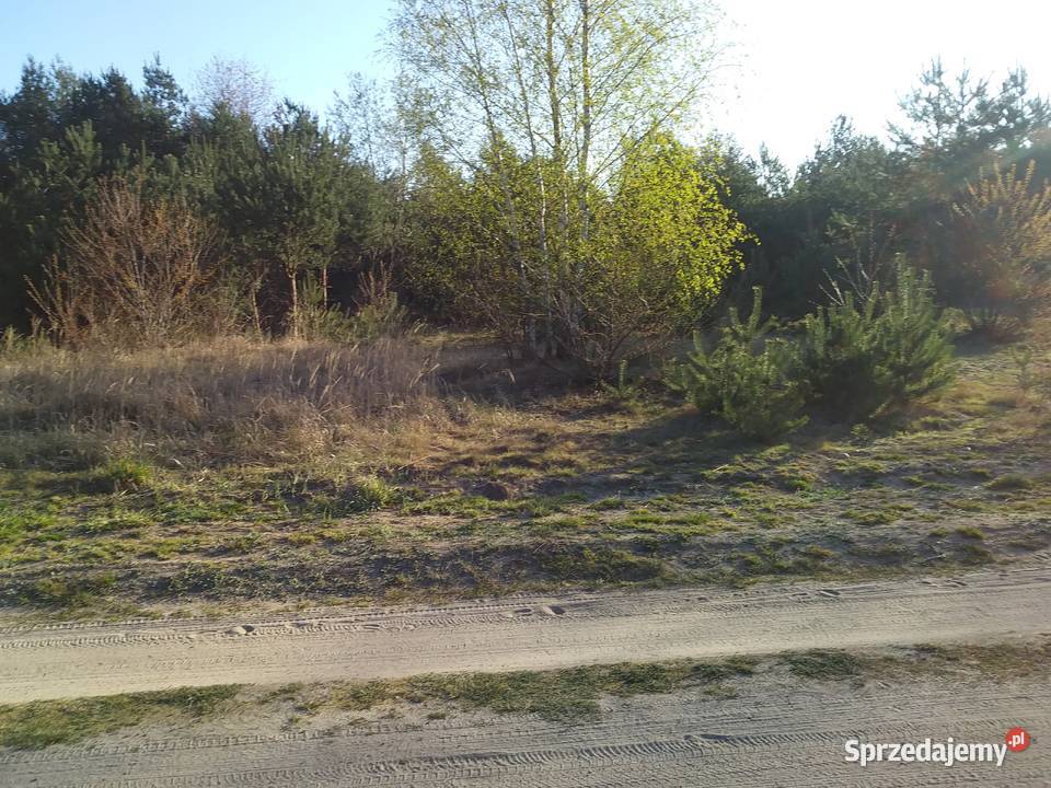 czyszczenie terenu przygotowanie pod budowę Zduńska Wola
