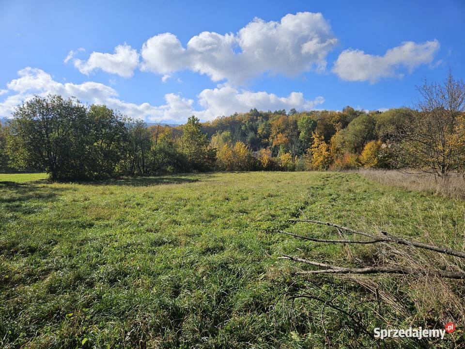 Działka w Sękowej Beskid Niski Działka na wsi na 90zł/m2 Sękowa