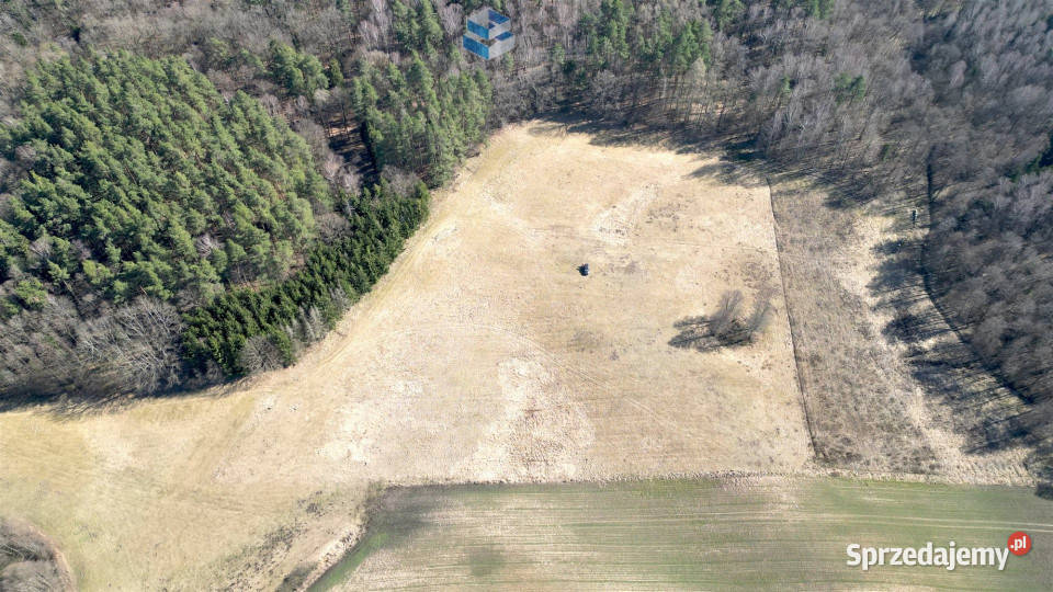 Działka Jędrychówko 7979m2 warmińsko-mazurskie