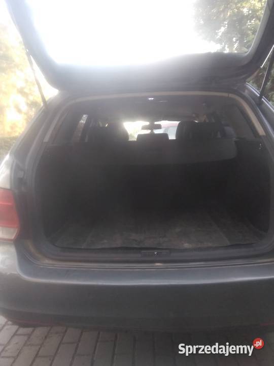 Volkswagen golf 5 wersja comfortline OC i 105KM Bełżyce