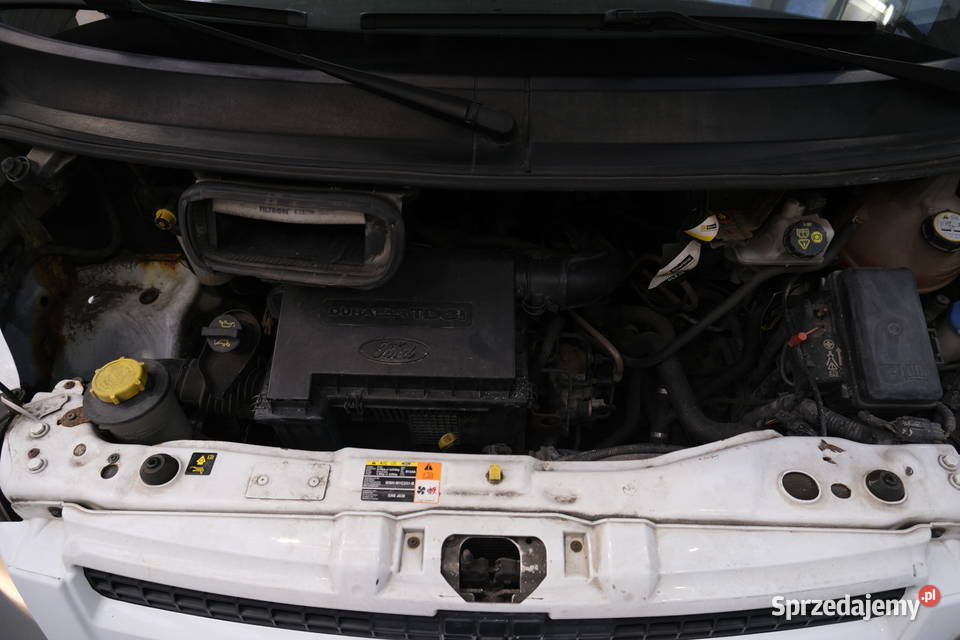 FORD TRANSIT 2009 219800 ccm 115 nieuszkodzony Warszawa