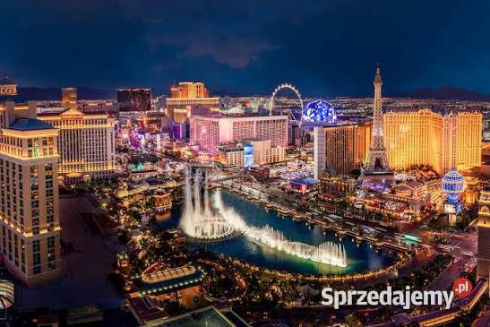 Sprzedam KASYNO online Pozostałe