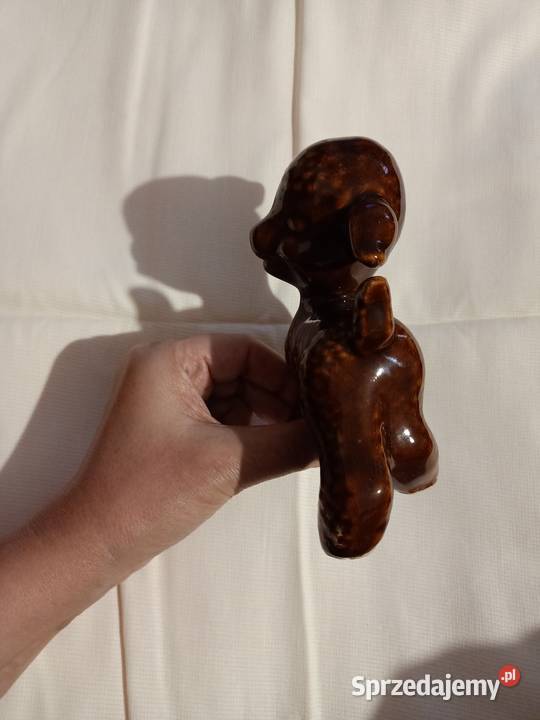 Owieczka Poznań sprzedam