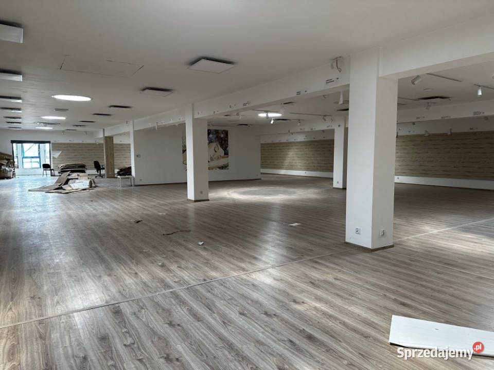 Syndyk sprzeda budynek magazynowo usługowy Sosnowiec