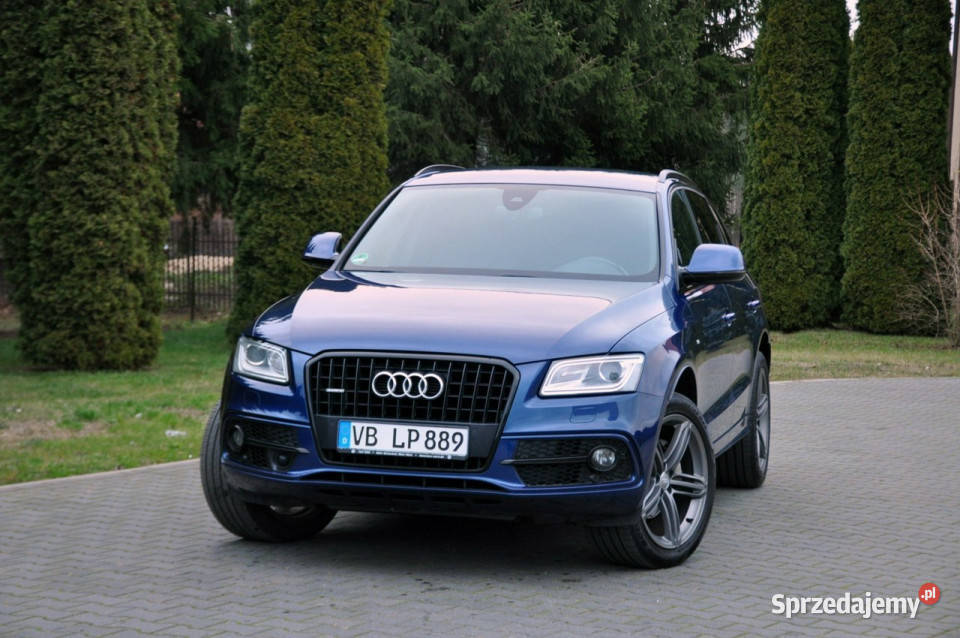 Audi Q5 serwisowany w ASO Ostrów Mazowiecka
