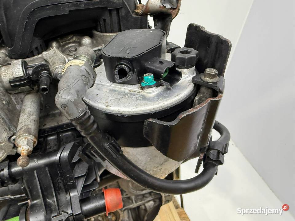 SILNIK KOMPLETNY G8DD Ford Focus II MK2 C C 16 Silniki kompletne Chełm