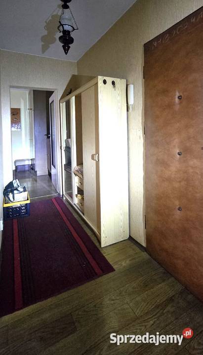 Katowice Modrzewiowa 49m2 2pok niski czynsz 10 7449zł/m2