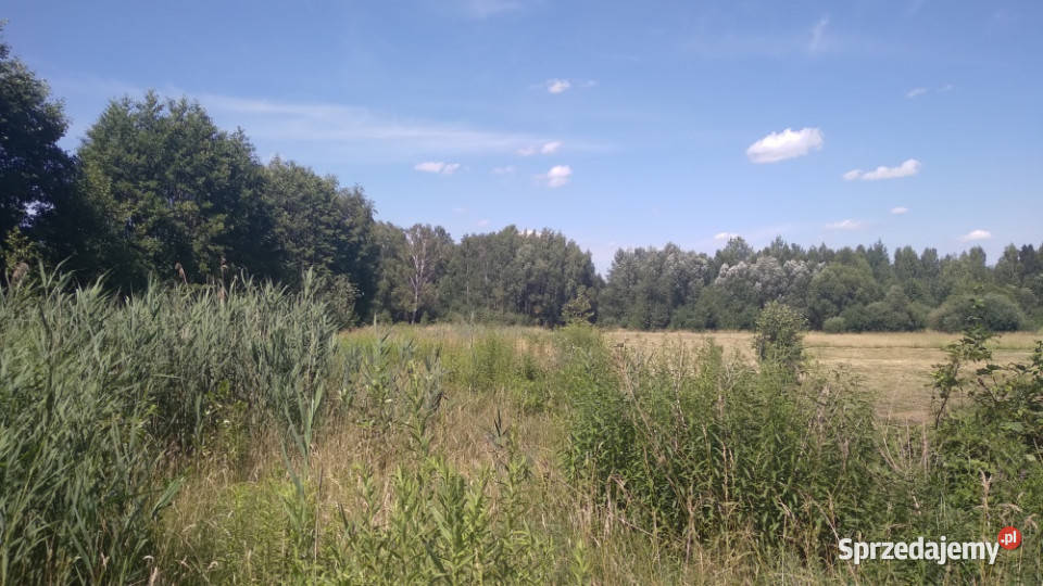 Sprzedam działkę Białystok 3193m Osiedle Zagórki