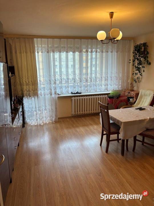Syndyk sprzeda Radom Pawia