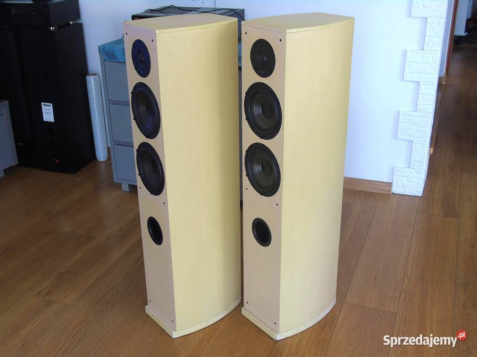 Duńskie kolumny Dantax Century 2 x 150 wat Jasło