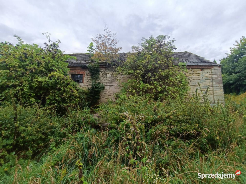 Nieruchomość gruntowa z zabudową Wierzchowiska 123000m2 lubelskie Wierzchowiska Pierwsze