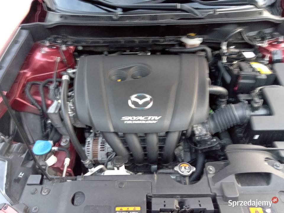 Sprzedam gniazdo AUX Gostyń