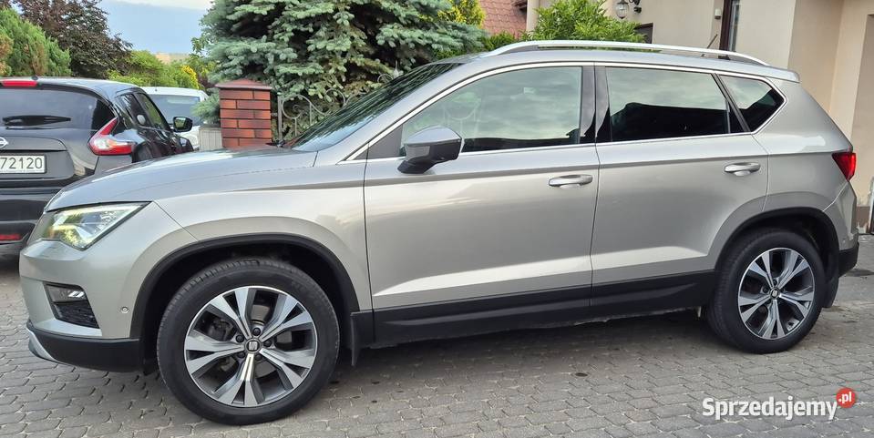 DSG XCELLENCE panoram dach bezwypadkowy Polski