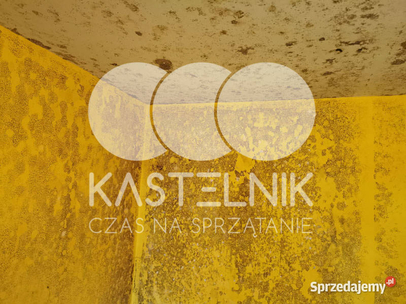 Odgrzybianie ścian Nowa Sól Kastelnik Usuwanie