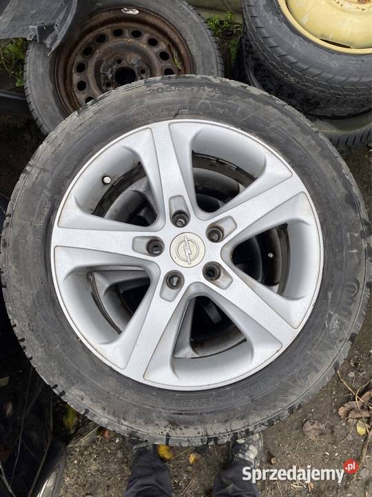 Koła 2055516r astra h Krowica Pusta