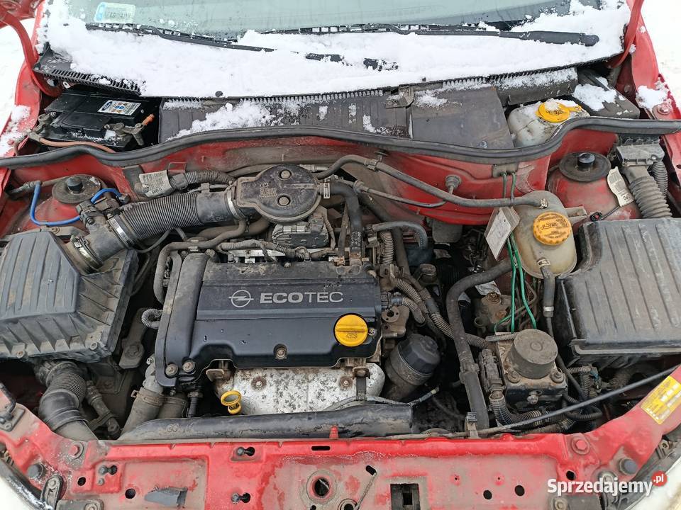 Opel Corsa C 2004 12 pomorskie Debrzno