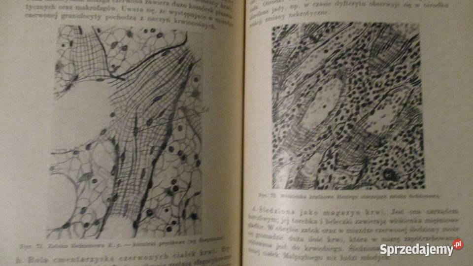 Histologiapodręcznik studentów i lekarzyZweibaum Łódź