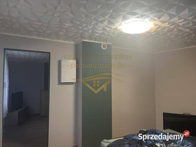 sprzedaży domu wolnostojącego Milanówek 60 drewno Sprzedaż