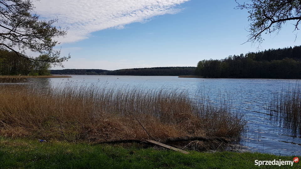 Jezioro Trupel działka rekreacyjna