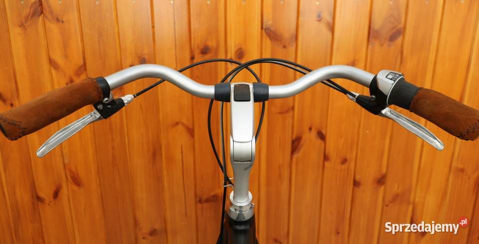 Rower męski Batavus Monaco H 57 Milanówek