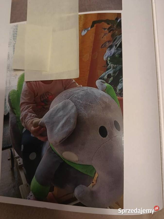 Słonik jeździk słonik na biegunach Pozostałe wielkopolskie