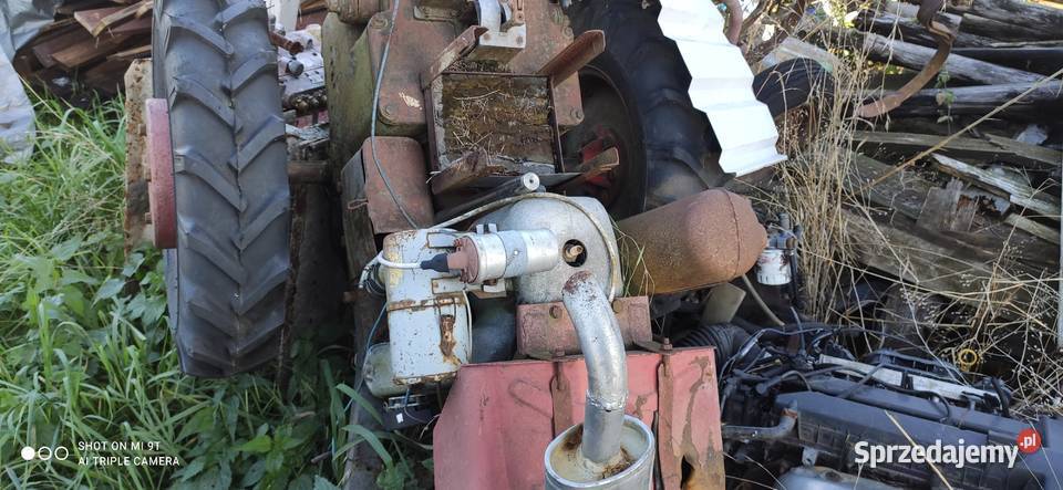 Sprzedam ciągnik rolniczy dzik Ciągniki Brzeziny