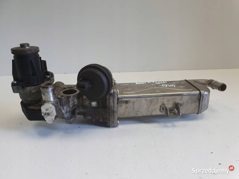 Audi A3 II 8P 16 TDI CHŁODNICA SPALIN egr osobowe Chełm sprzedam