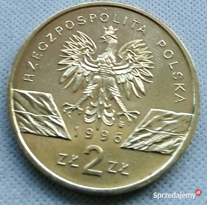 POLSKA2 1996 r GNJEŻ ŁADNA mazowieckie Legionowo sprzedam