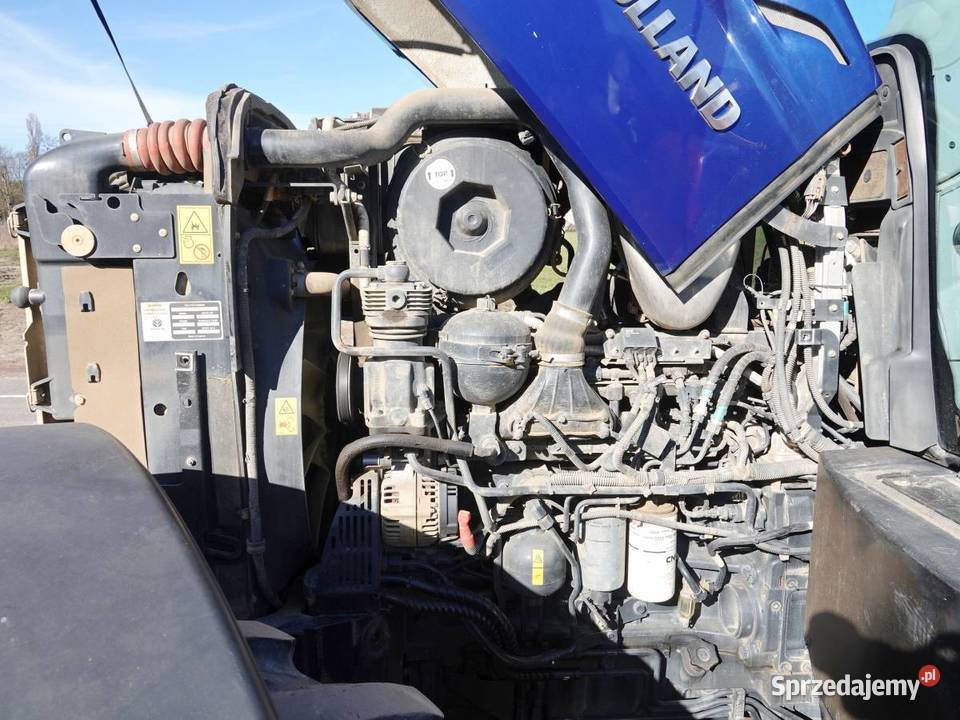 2017 Holland opolskie Opawica sprzedam