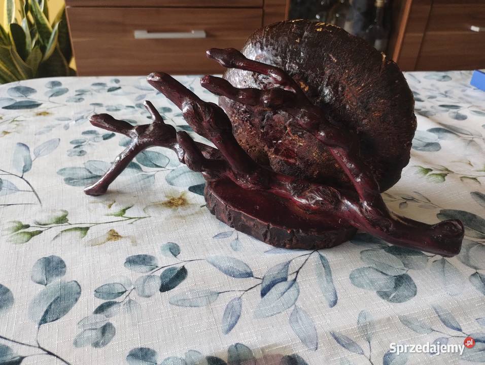 PRL półka hand made korzeń huba etykieta łódzkie Łódź sprzedam