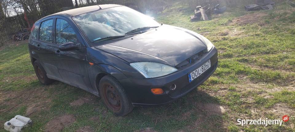 Ford Focus Gorzów Śląski