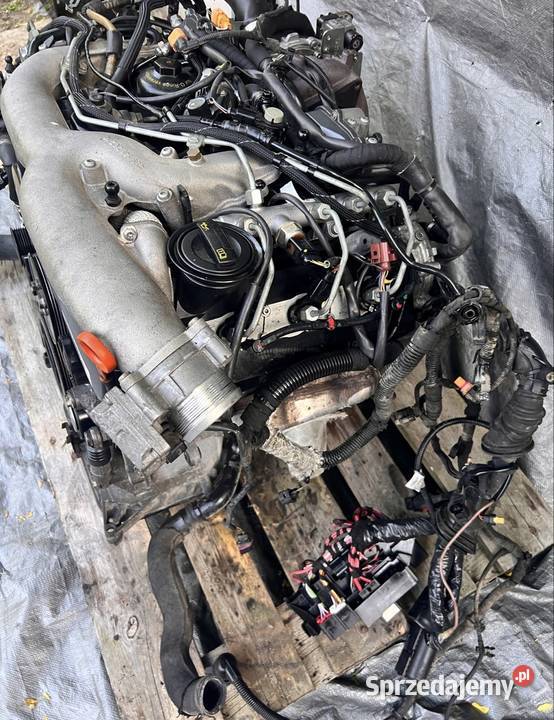 AUDI A4 B8 A5 CGK SILNIK KOMPLETNY UKŁAD Starogard Gdański