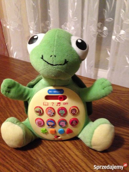 Żółw Albert eedu Nowe Miasto Lubawskie sprzedam