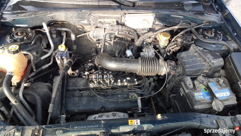 Ford Maverick do lasu na ryby na grzyby i napęd 4x4 Wrocław