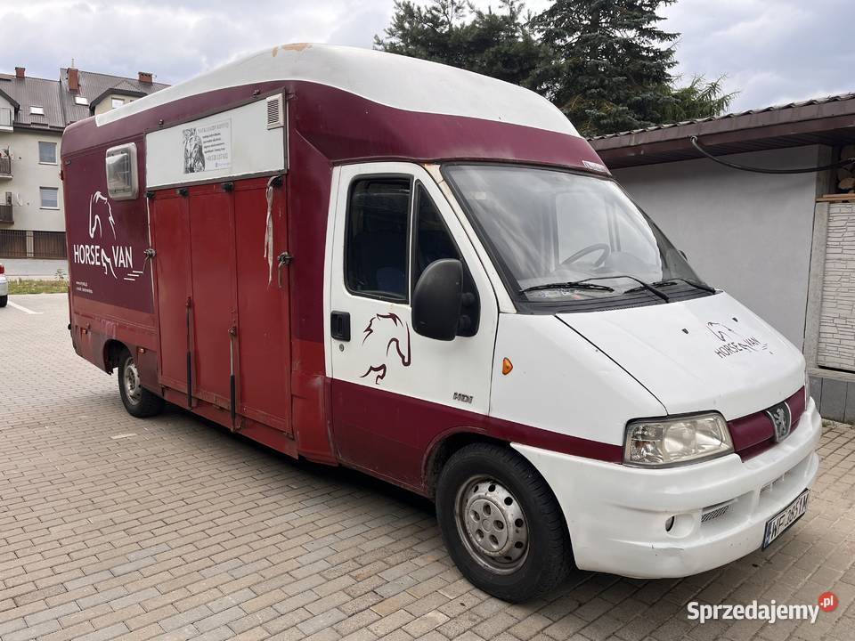 Koniowóz Peugeot Boxer Lublin