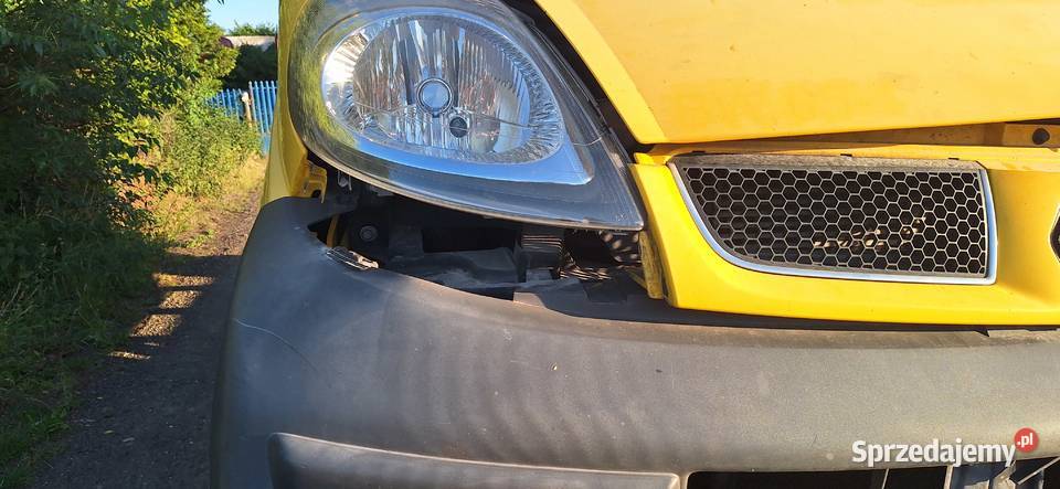 Renault Trafic 2005 19 82 Gorzów Wielkopolski