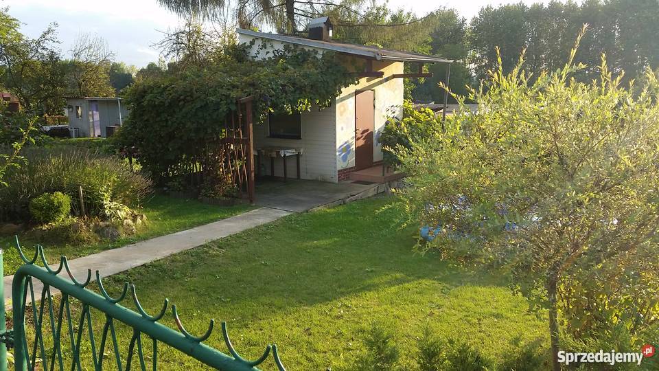 Ogródek działkowy Będzin