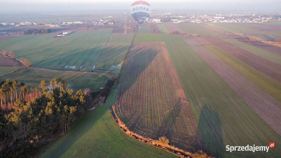 Działka inwestycyjna Przemysł 29ha inwestycyjna wielkopolskie Borek Wielkopolski