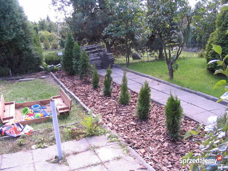 działkę pracowniczą ŁÓDŹ Łódź