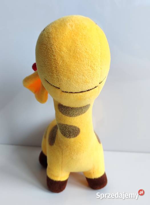 Żyrafa Antosia Axiom Katowice