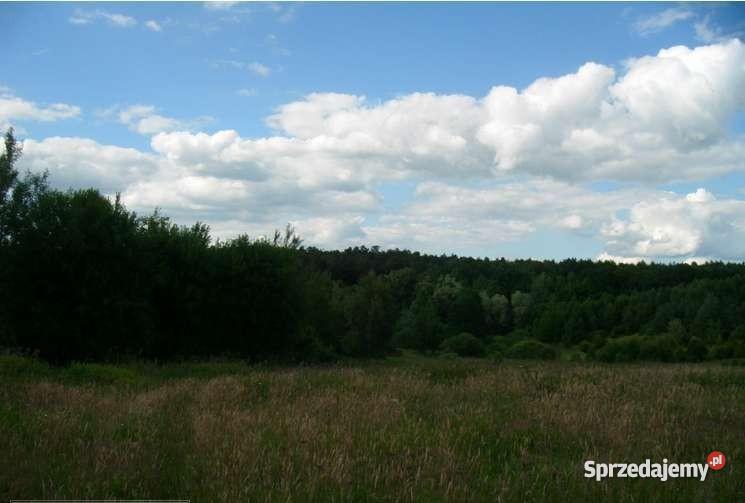 Gardeja działka budowlana26000m2 działki 1200m2