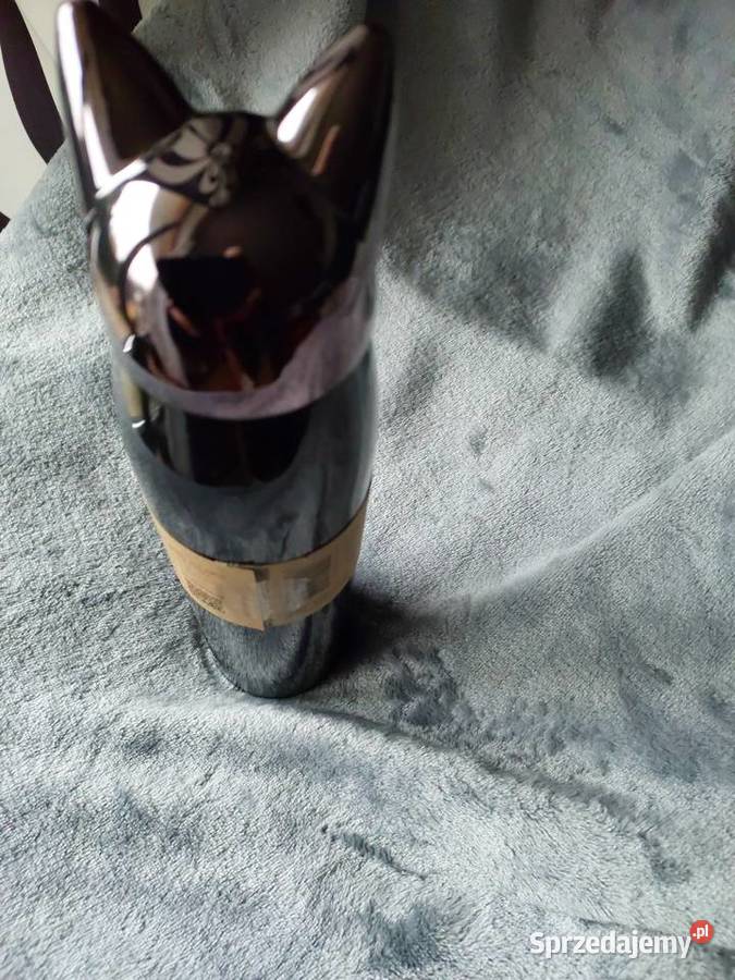 Nowa butelka termiczna termos kot Wrocław