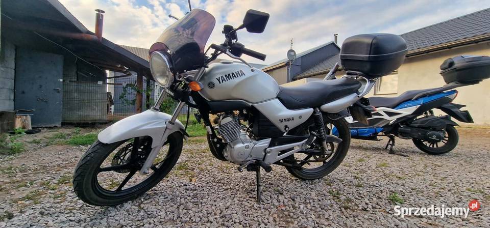 YAMAHA YBR 125 2008R nieuszkodzony Zamość