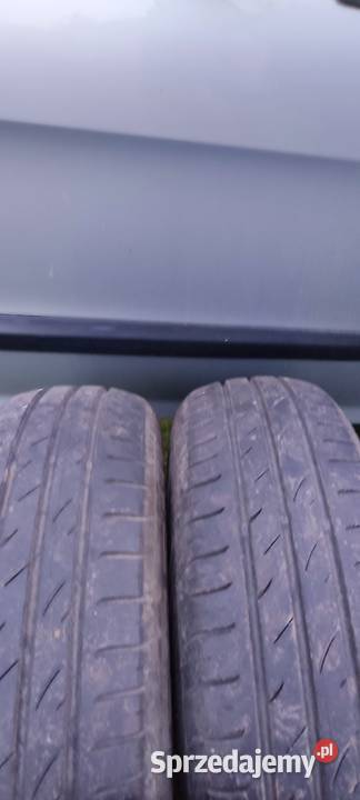 Opony letnie nexen 14 70 175 Ostojów