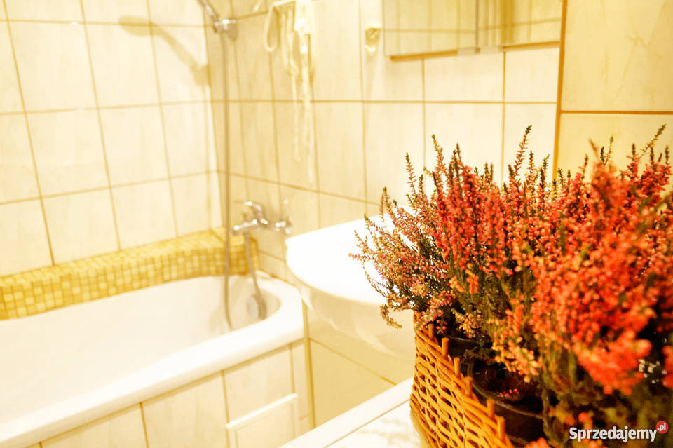 Super zadbane mieszkanie Brzęczkowice oddzielna kuchnia Mieszkania Mysłowice sprzedam